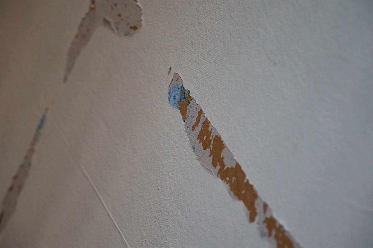 Flood Cleanup service in Rancho Cordova, CA